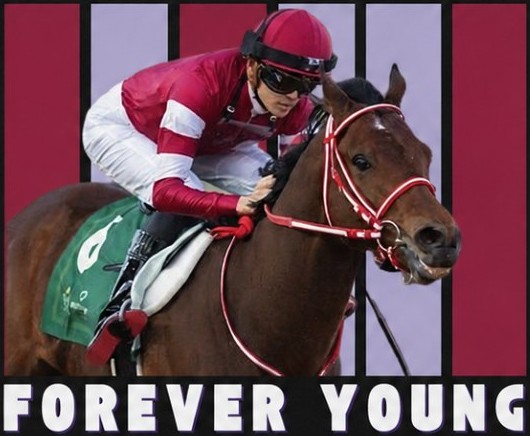 Forever Young design artwork — Forever Young and his rider at full stretch over maroon and lavender stripes, FOREVER YOUNG in white letters below